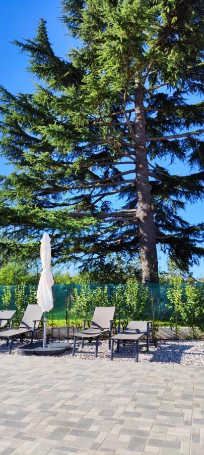 Villa Allegra Vizinada Экстерьер фото